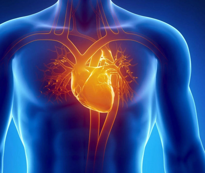ไขข้อข้องใจเรื่องคอเลสเตอรอลสูงแล้วหรือยัง? การศึกษาวิจัย: LDL สูงในคีโตซิสที่ดีต่อสุขภาพอาจไม่เพิ่มความเสี่ยงต่อโรคหัวใจ